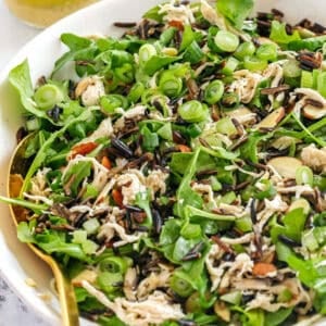 Hearty and delicious Wild Rice Chicken Salad made with leafy arugula, warm wild rice, shredded chicken, sliced almonds, and green onions all tossed with a bright lemon tarragon vinaigrette!
