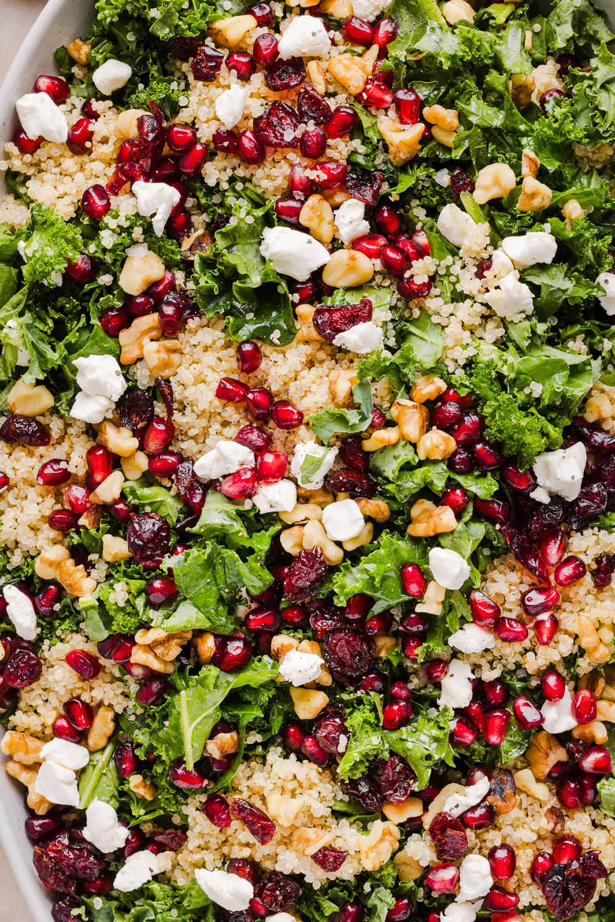This Winter Kale and Quinoa Salad is a vibrant, wholesome salad that is bursting with flavor! Made with leafy kale, tender quinoa, juicy pomegranate seeds and crunchy walnuts all tossed together with a light dijon vinaigrette for the perfect holiday side dish!